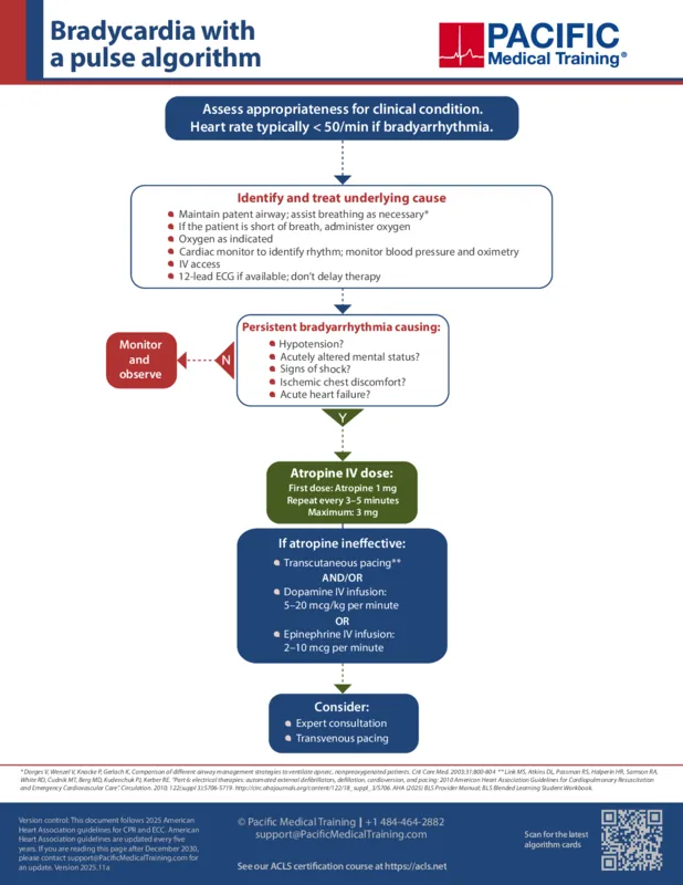 Bradycardia ACLS algorithm
